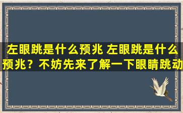左眼跳是什么预兆 左眼跳是什么预兆？不妨先来了解一下眼睛跳动的常见原因